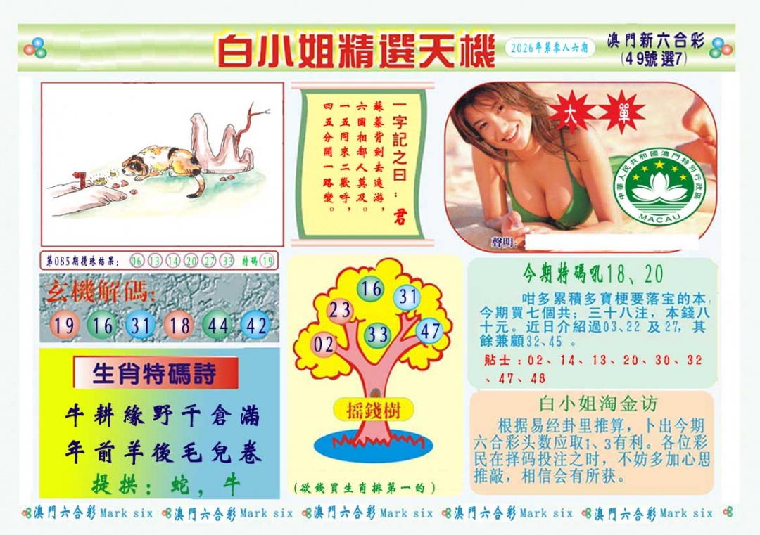 086期白小姐精选玄机A[图]